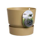 greenville hanging basket 24cm arena dorada